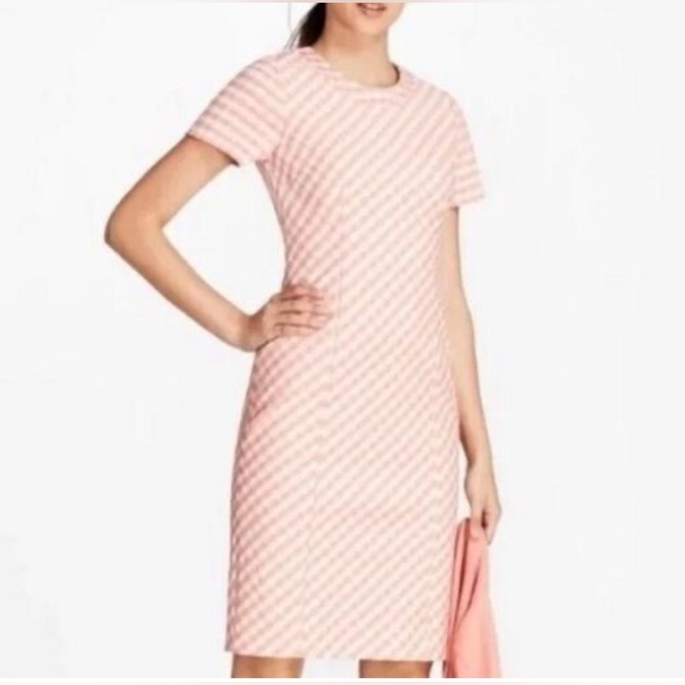 NWT Brooks Brothers Dress No Pockets